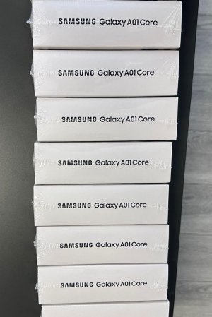 SAMSUNG A01 CORE CEP TELEFONU